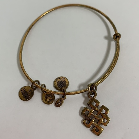 Alex and Ani Buddhist Eternity Knot Charm Bracelet - Gold Finish, Expands - Picture 3 of 3